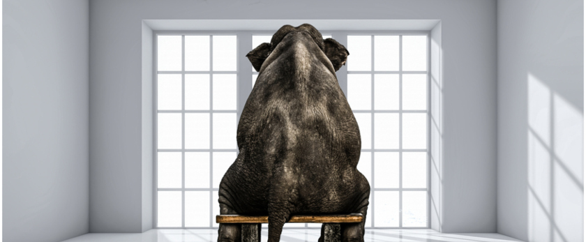 Wie ein Elefant im Porzellanladen: Wie man beim Fällen mutiger Entscheidungen unbeabsichtigte Konsequenzen vermeidet